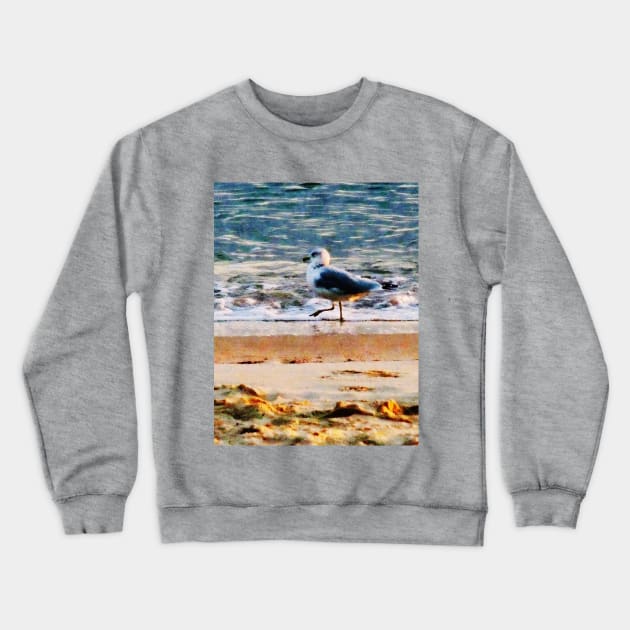 Seagulls - Seagull on Virginia Beach at Dawn Crewneck Sweatshirt by SusanSavad